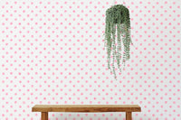 Minimalist wallpaper with pink spots above a wooden bench and hanging plant.