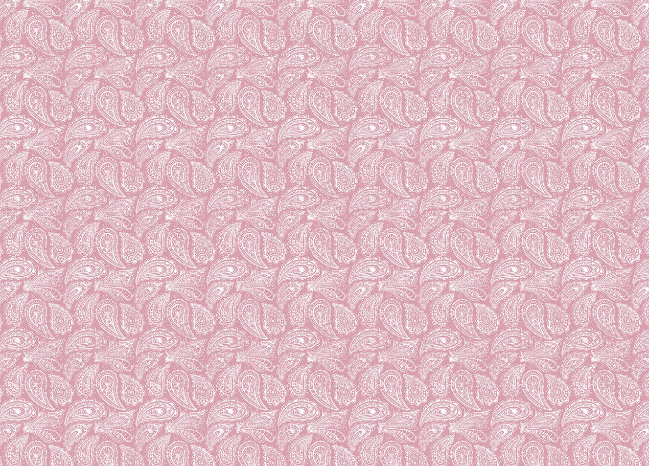 Pink Color Hand Drawn Paisley Ornament Wallpaper