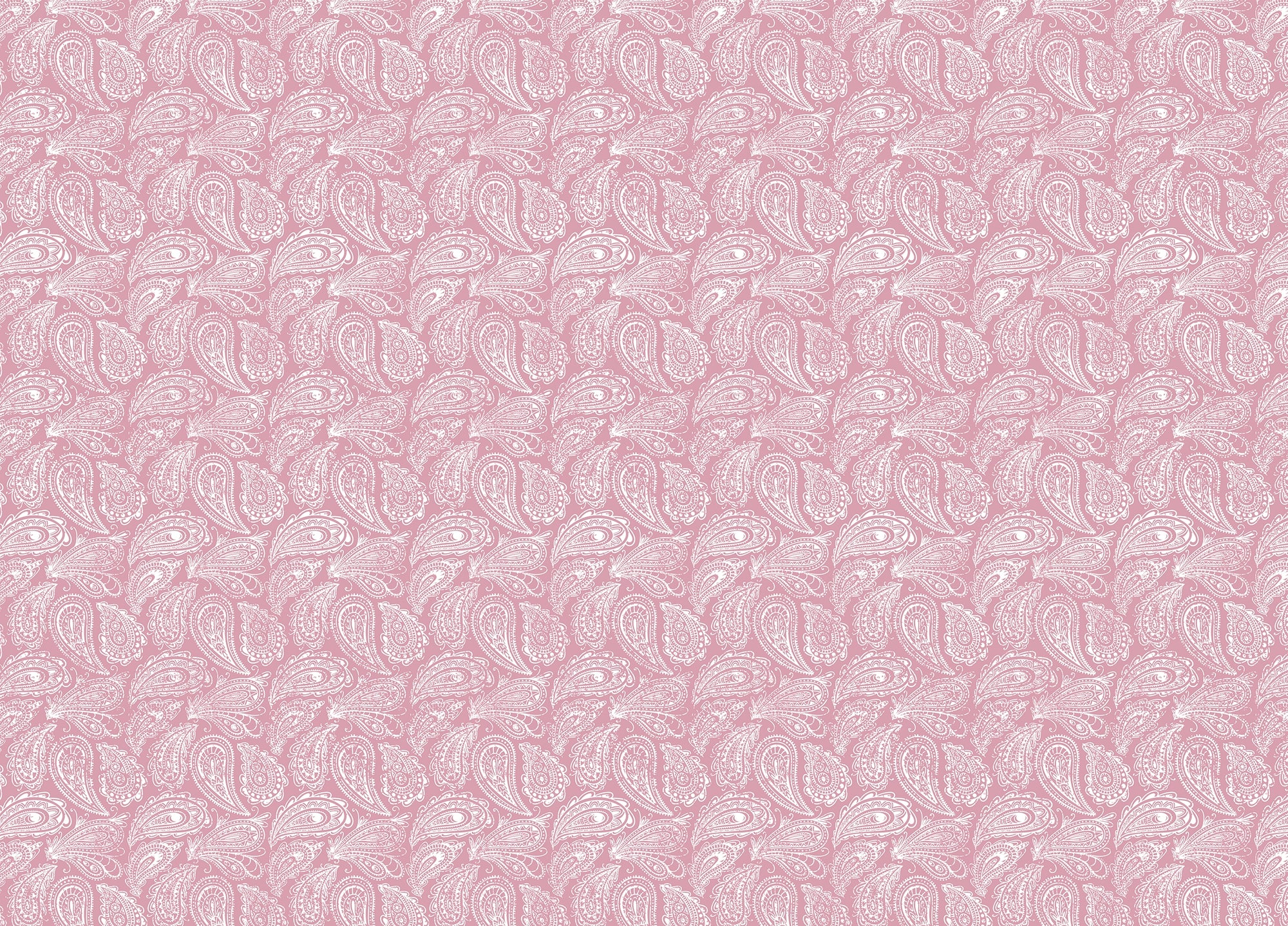 Pink Color Hand Drawn Paisley Ornament Wallpaper