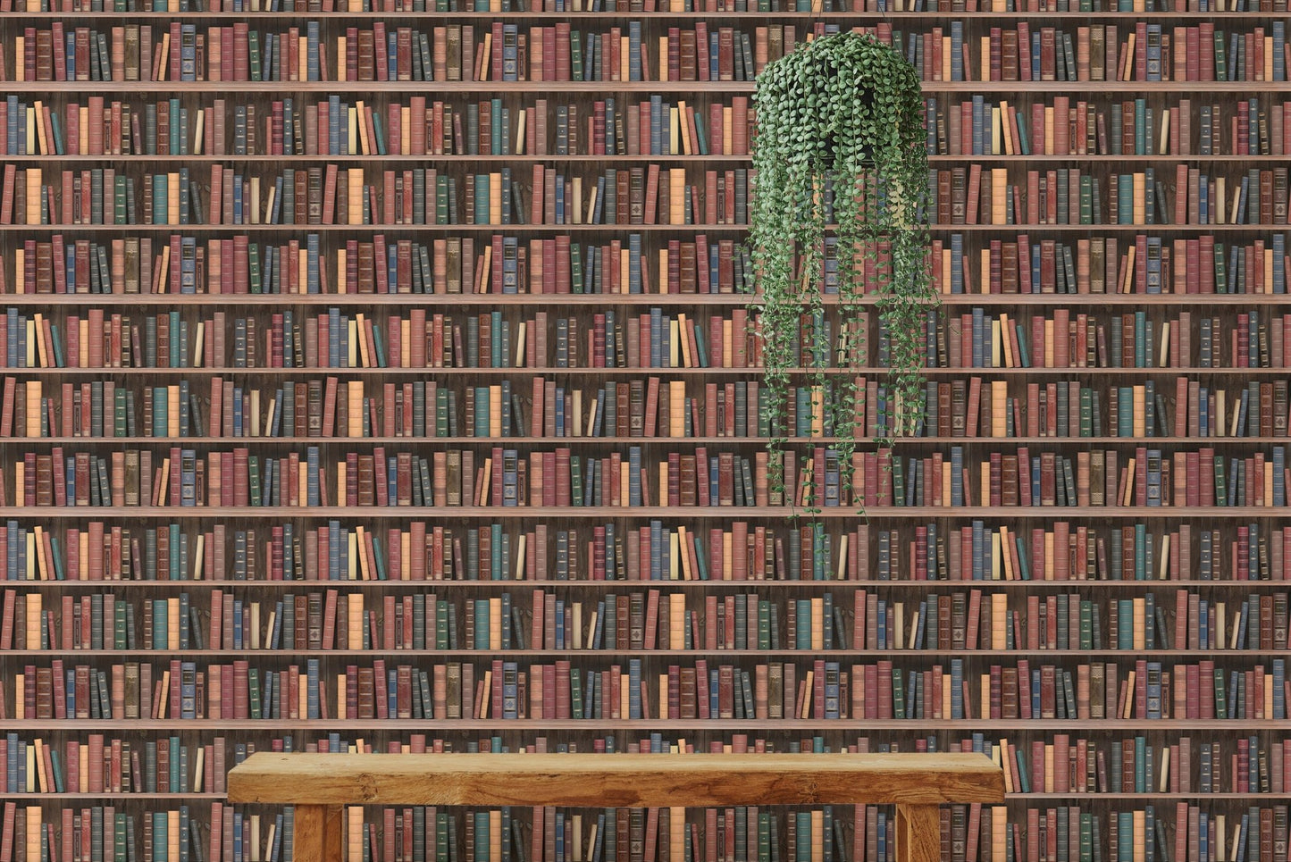 Seamless Books Old Vintage Wooden Shelf Wall mural behind a wooden bench and hanging plant.