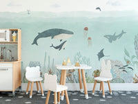 Sensational wall mural featuring dolphins and sea turtles in teal tones.