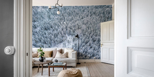 Top-down view of frozen pine trees on a winter wall mural.