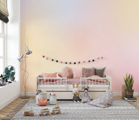 Soft Ombre Delight Wall Mural - Wallanza