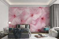 Soft Pink Blossom Wallpaper - Wallanza