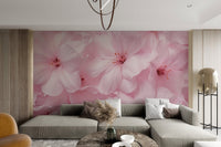 Soft Pink Blossom Wallpaper - Wallanza