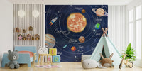 Educational space diagram wallpaper for astronomy themed wall mural.