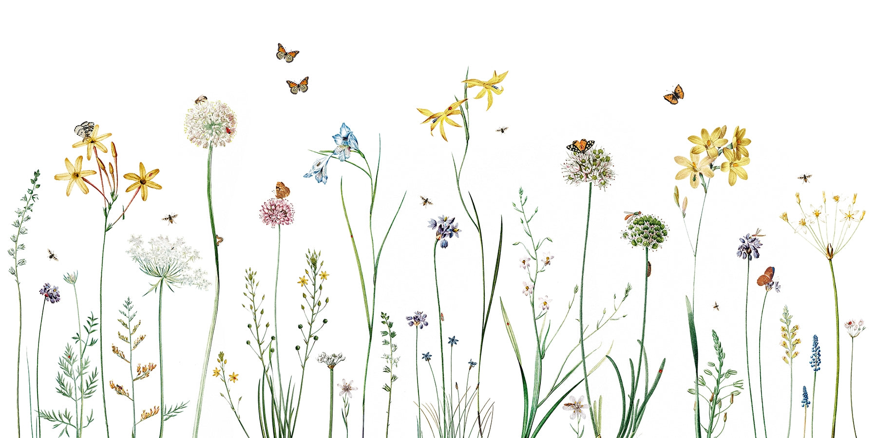 Butterfly Garden Wallpaper Mural