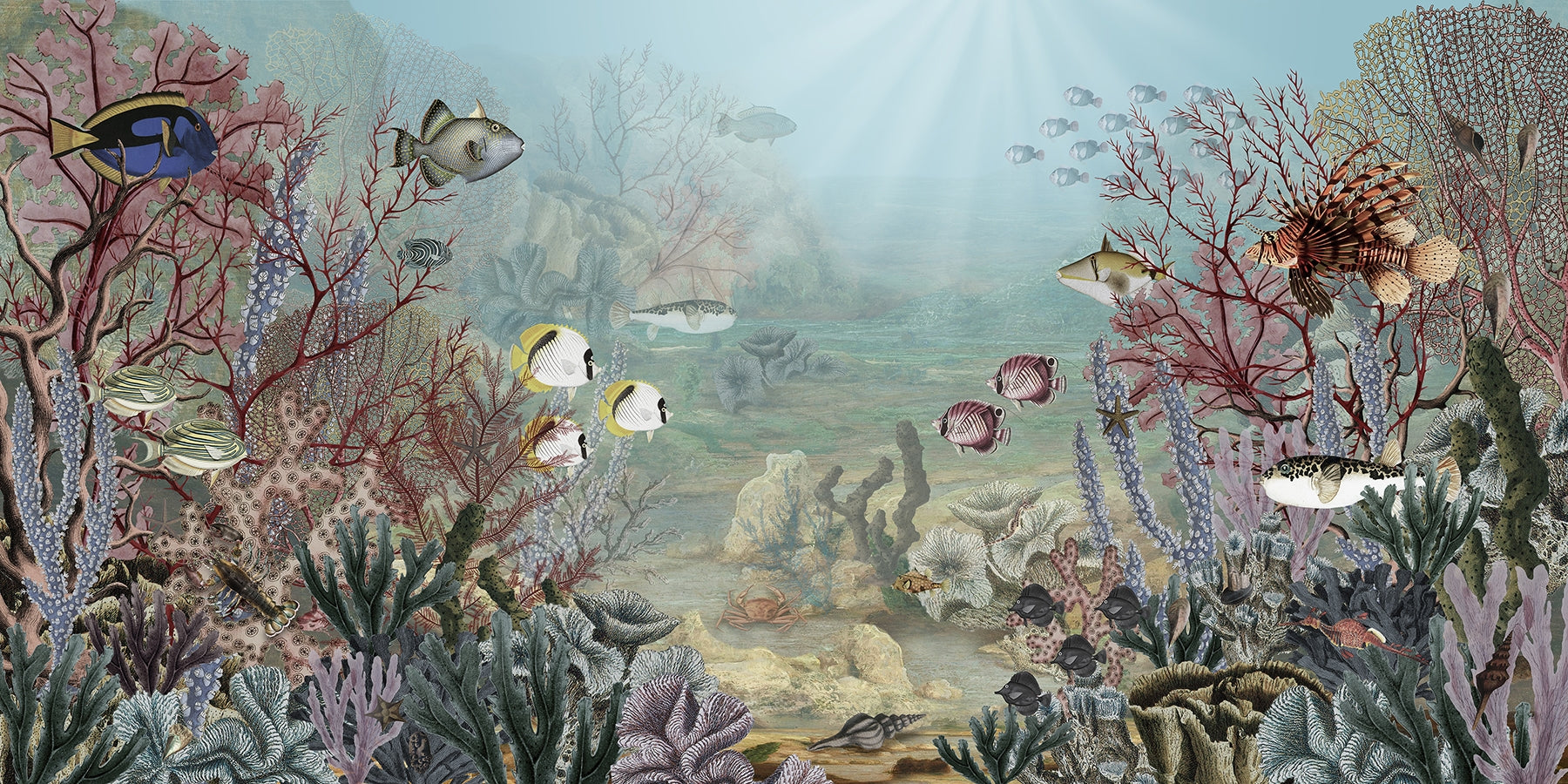 Coral Creatures Panorama Mural