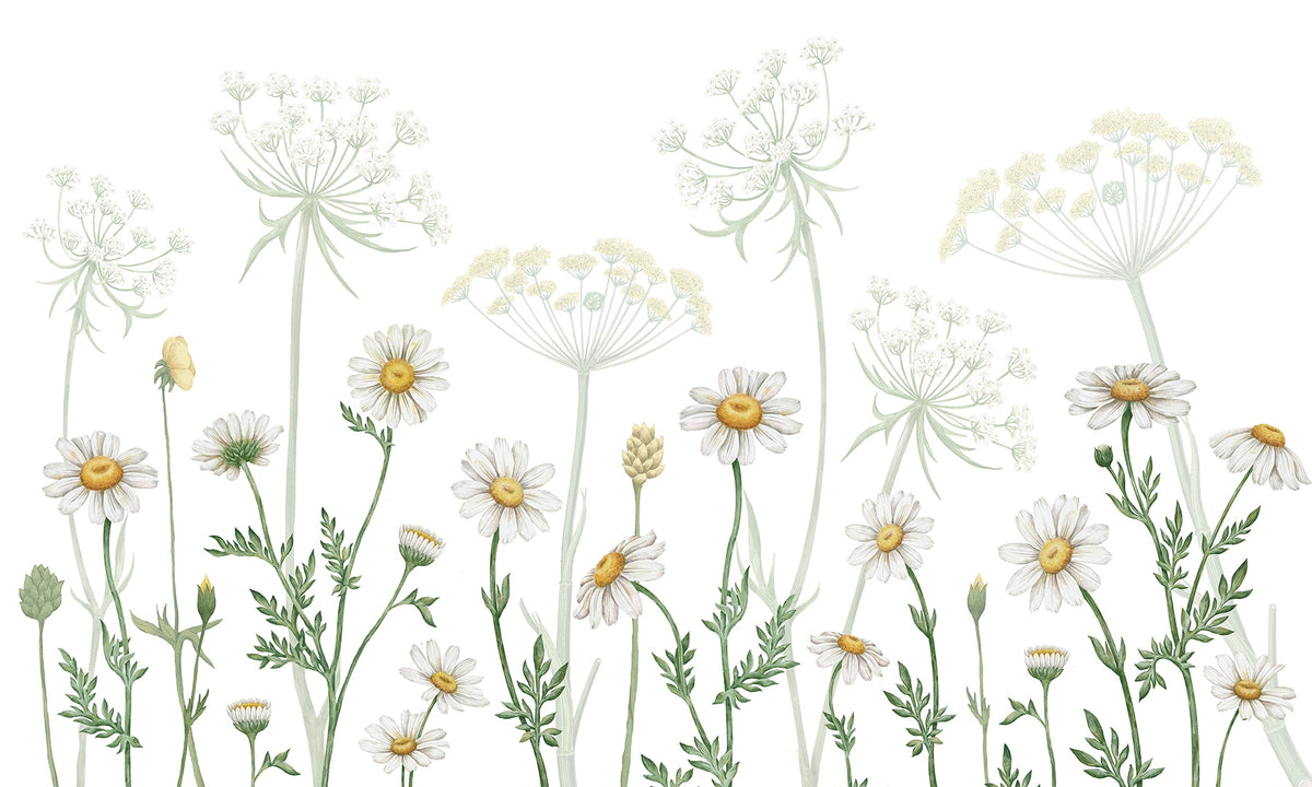 Dazzling Daisies Botanical Mural in your room