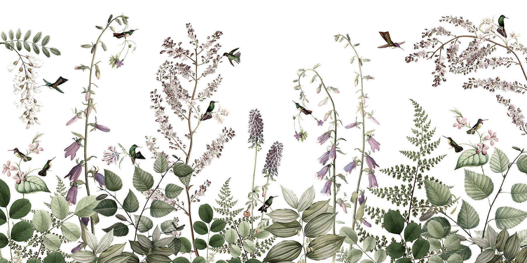 Botanical Hummingbird Garden Wall Mural