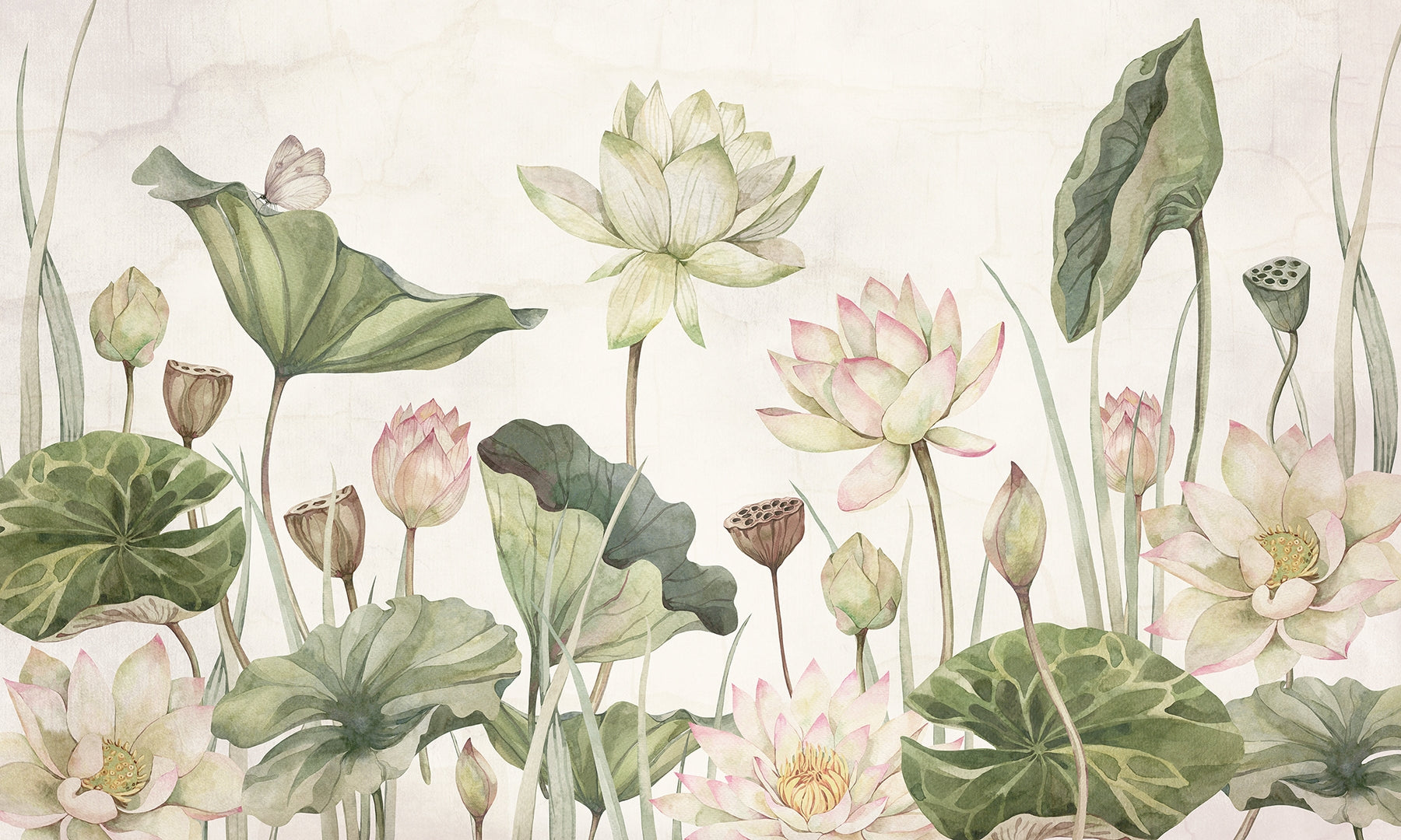 Botanical Serenity Water Lily Mural