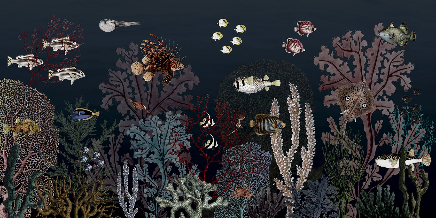 Aquatic Ballet Wall Mural