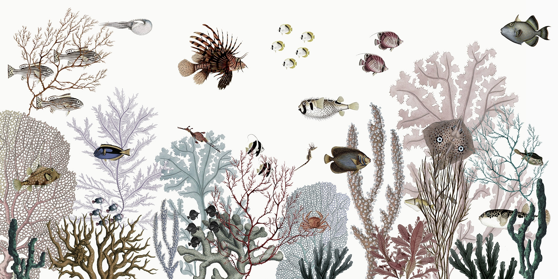 Coral Kingdom Panorama Mural