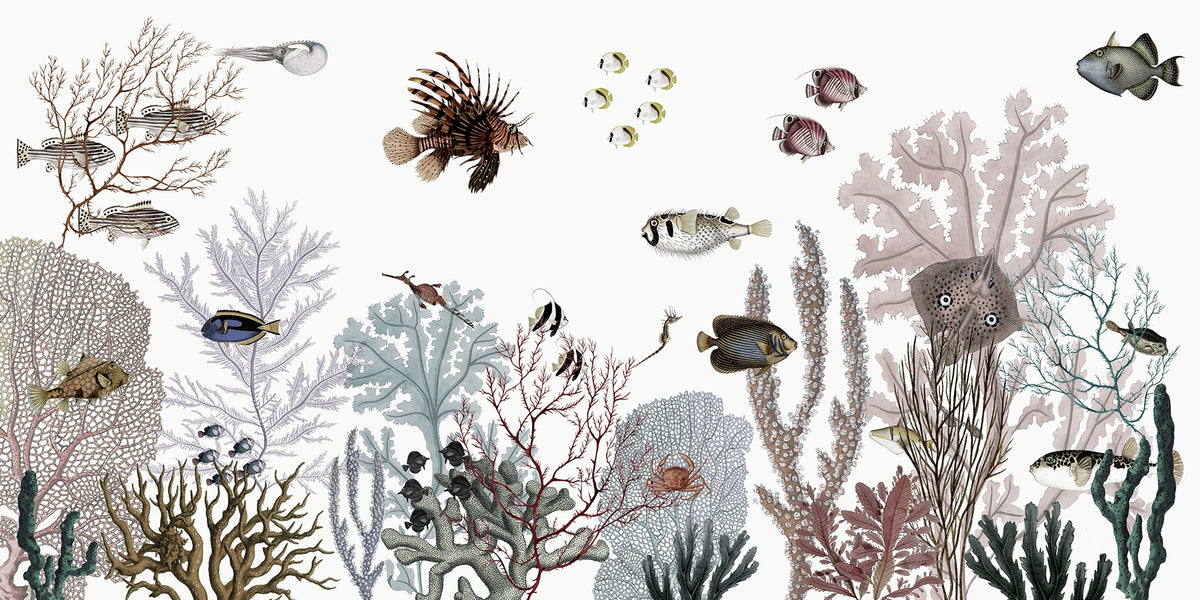 Coral Kingdom Panorama Mural in your room — zoomed