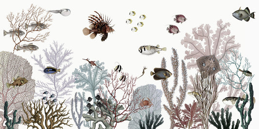 Coral Kingdom Panorama Mural