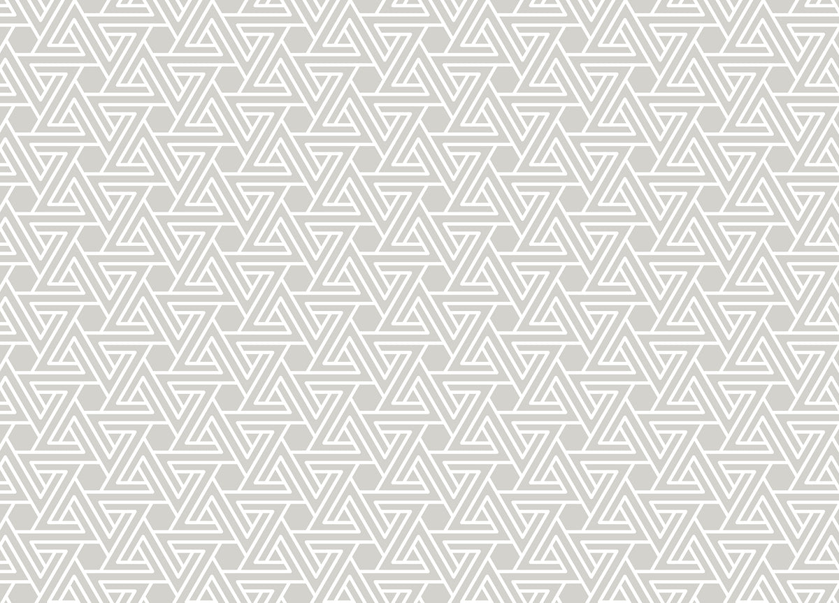 Abstract Simple Geometric White Line Wallpaper in your room