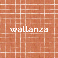 Soft terracotta backdrop with white lines wallpaper murals.