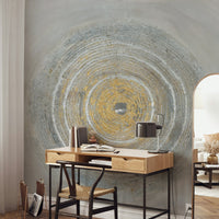 Textured Concentric Circles Wall Mural - Wallanza