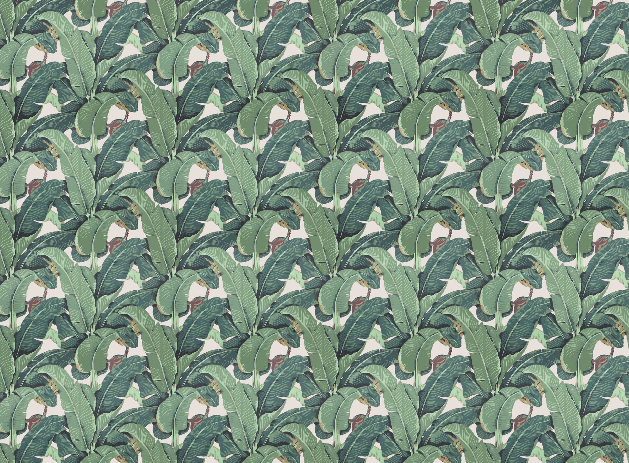 Banana Leaf Tropical Wallpaper For Walls