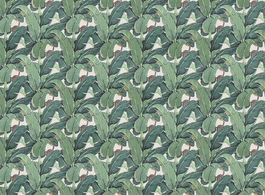 Banana Leaf Tropical Wallpaper For Walls