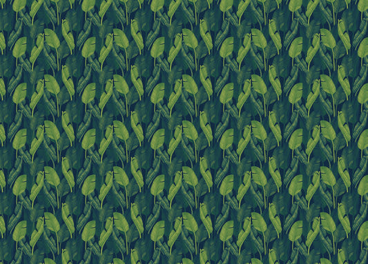 Dark Green Color Banana Leaves Wallpaper