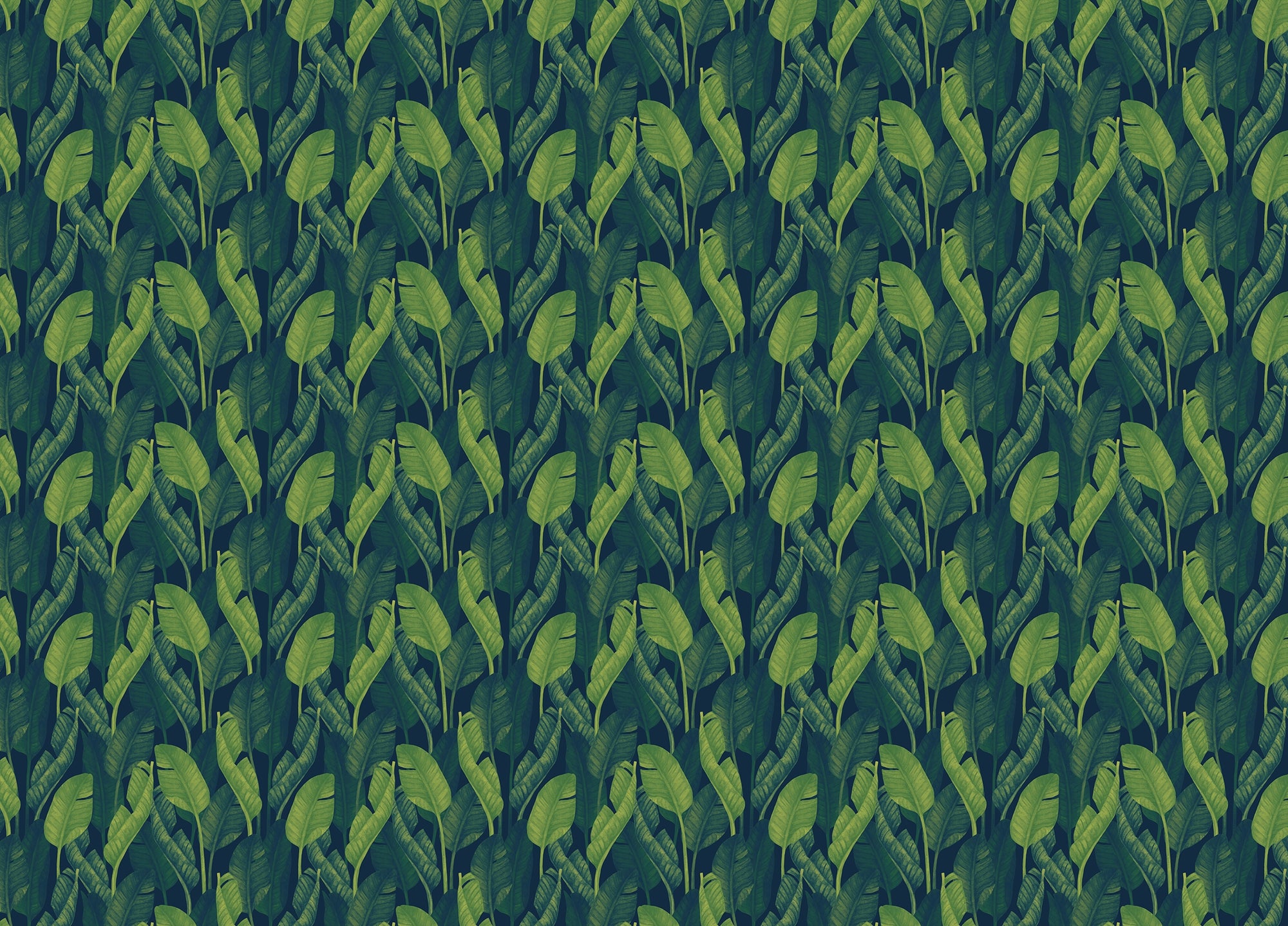 Dark Green Color Banana Leaves Wallpaper