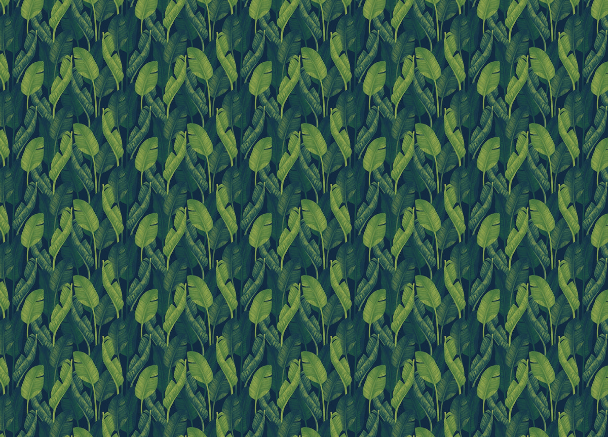 Dark Green Color Banana Leaves Wallpaper in your room — zoomed