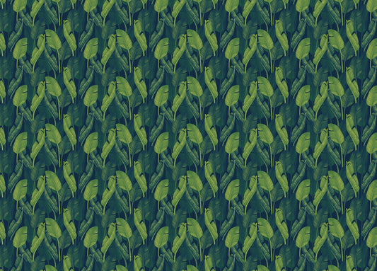 Dark Green Color Banana Leaves Wallpaper