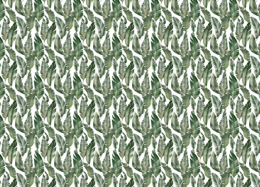 Watercolor Palm Green Leaves Wallpaper