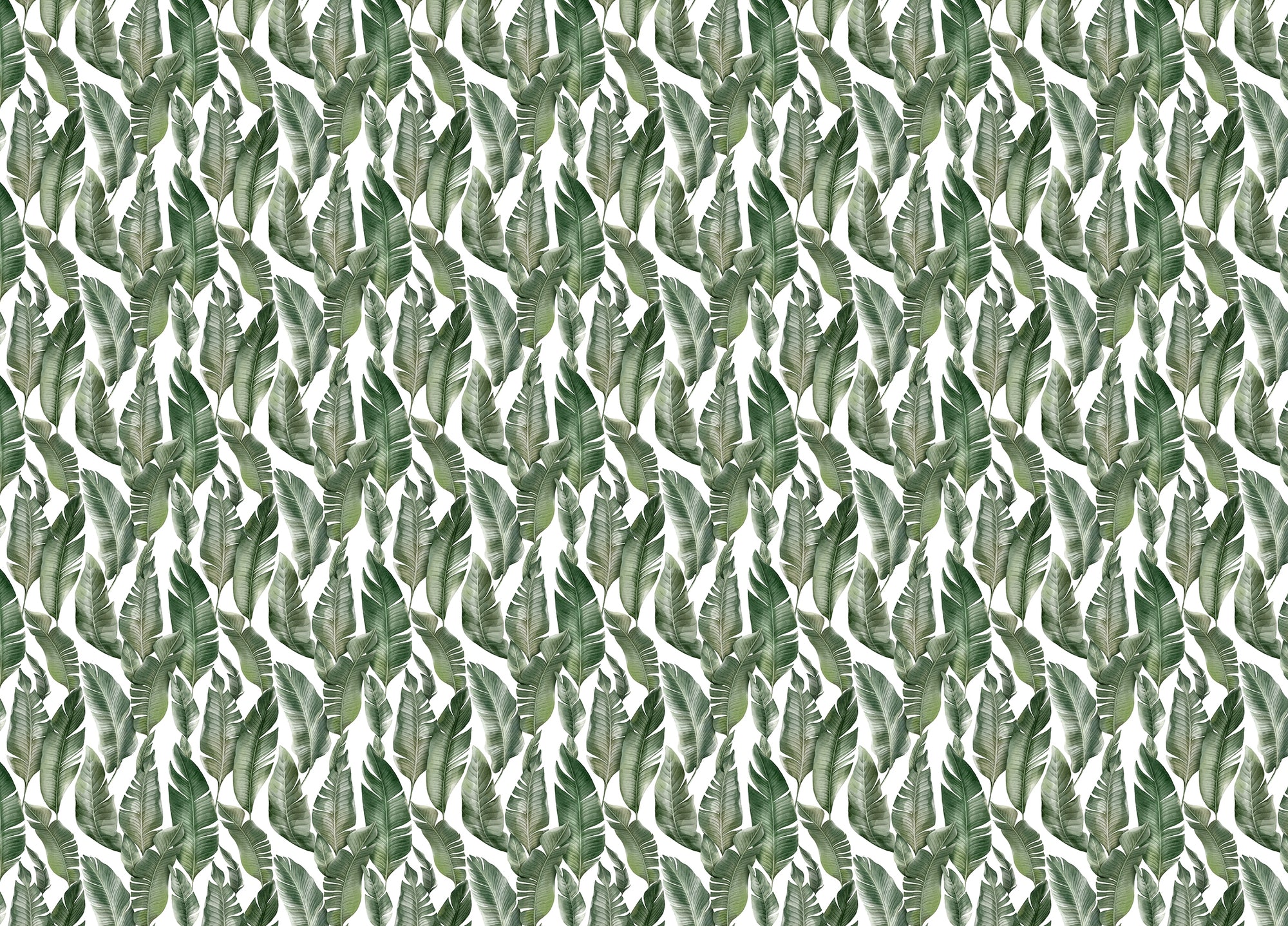 Watercolor Palm Green Leaves Wallpaper
