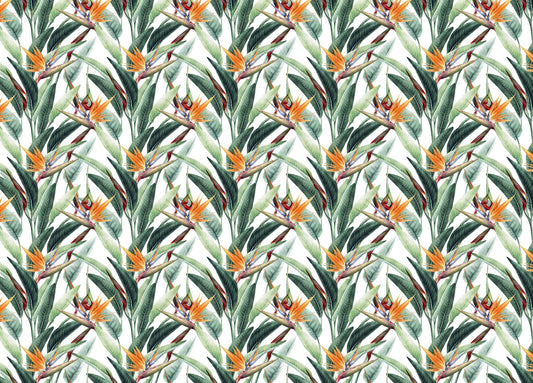 Seamless Floral Tropical Pattern Wallpaper