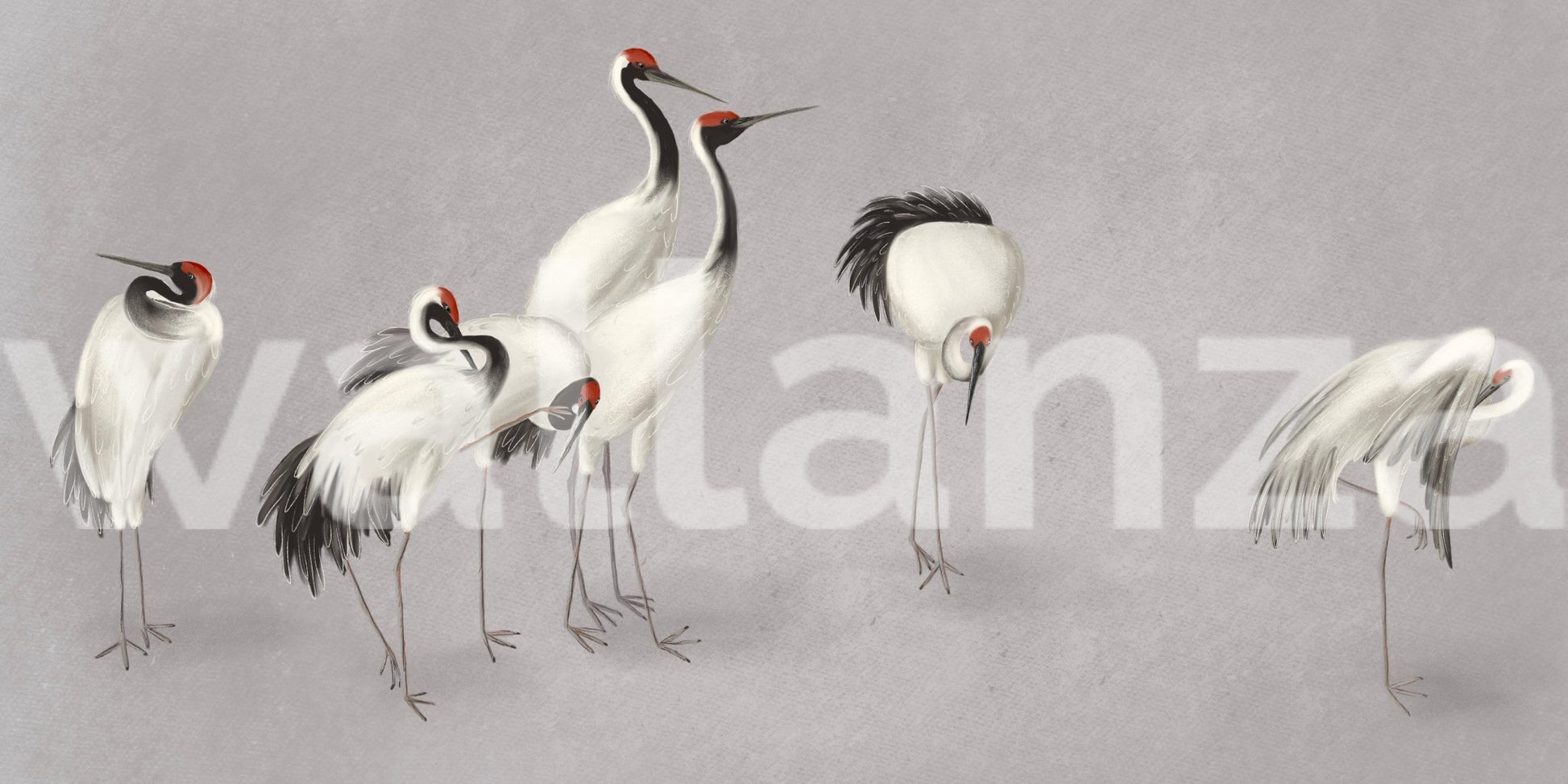 Horizontal layout of crane birds on a grey background for a wide wall mural.