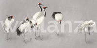 Horizontal layout of crane birds on a grey background for a wide wall mural.