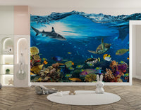 Underwater Splash with Coral Reef Wall Mural for playroom area.