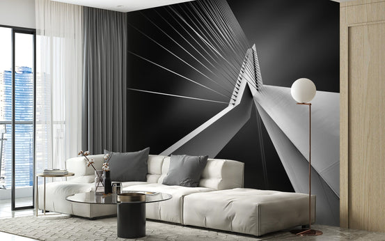 Dark contrast modern bridge architecture wall mural.