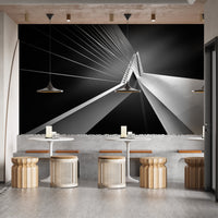 Urban Bridge Mural with Elegant Design Lines
