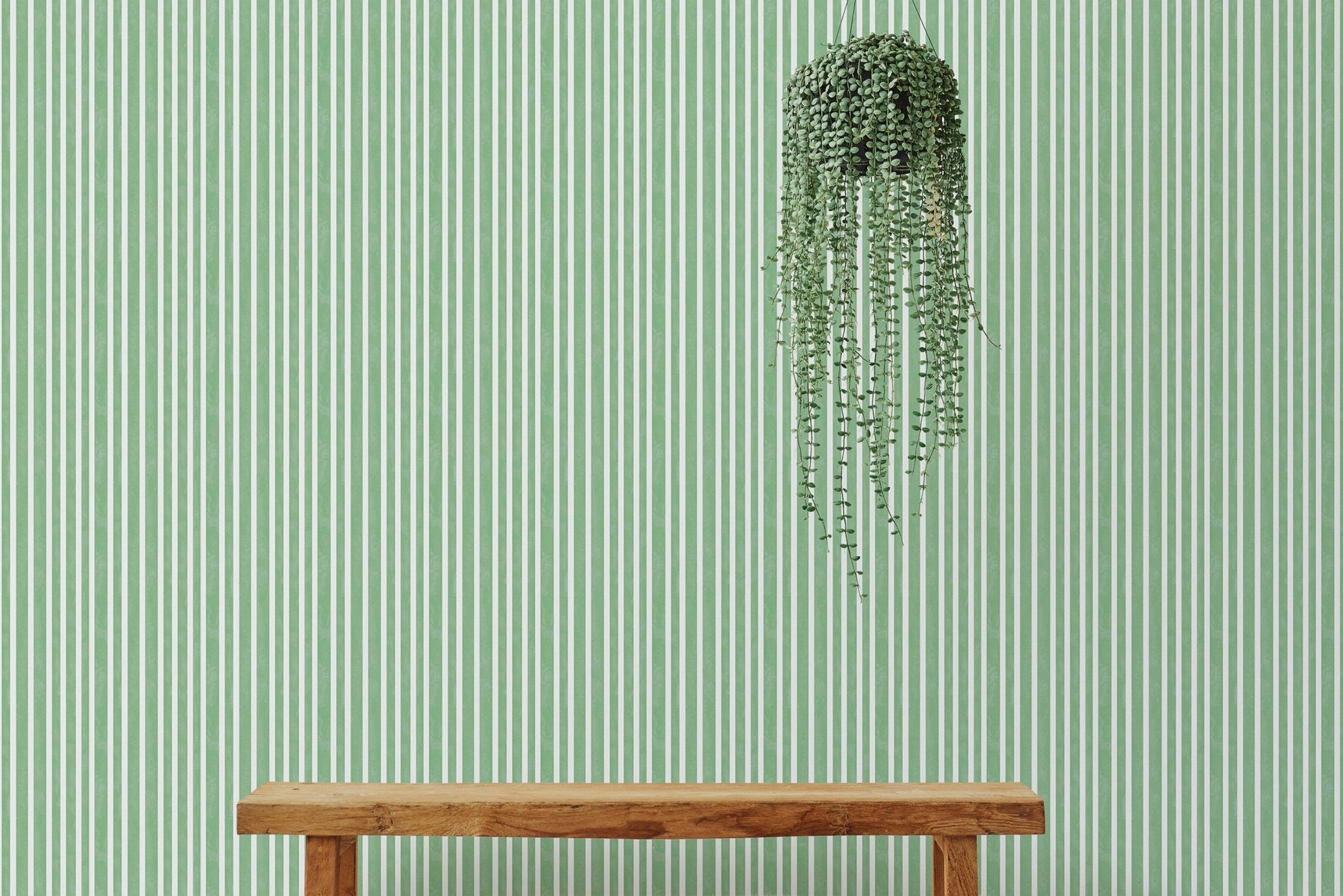 Hanging plant against green watercolor striped wallpaper decor.