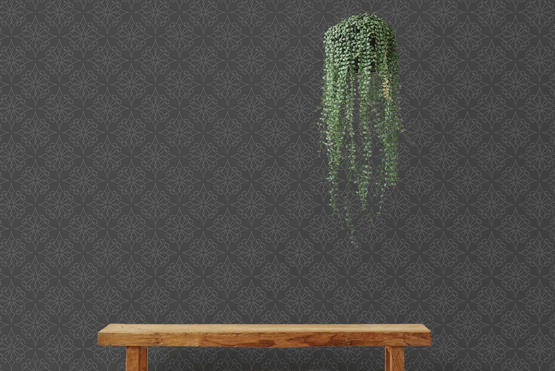 Dark patterned wallpaper backdrop for a wooden bench and hanging green plants