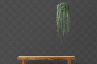 Dark patterned wallpaper backdrop for a wooden bench and hanging green plants