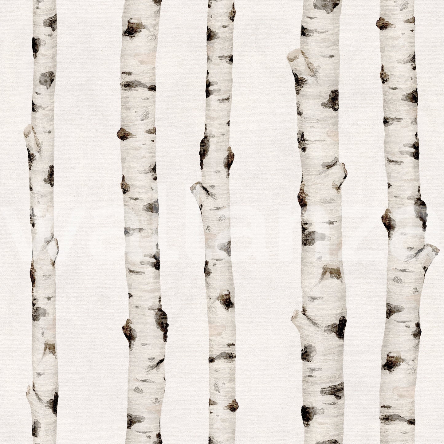 Rustic Birch Tree Forest Pattern Wallpaper⁠