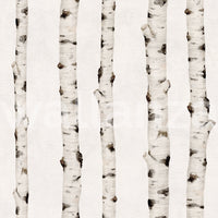 Rustic Birch Tree Forest Pattern Wallpaper⁠