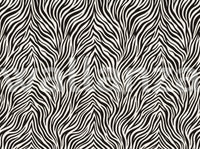 Monochrome zebra stripe wall mural with fanned black lines on off white