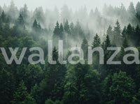 Misty Morning Pine Forest Nature Mural Wall Mural