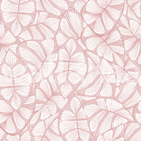 Blush Canopy Wallpaper⁠