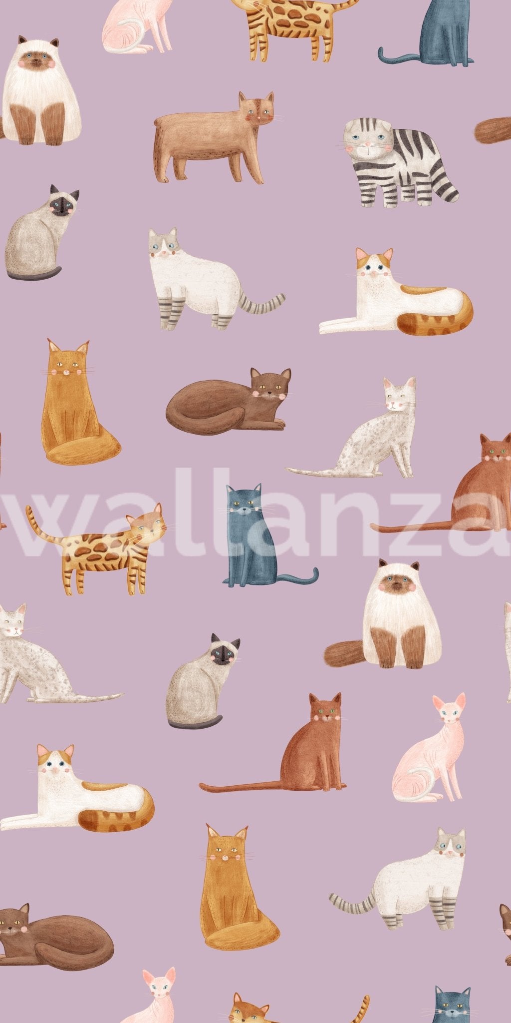 Collection of diverse cat breeds in a hand-drawn mural.