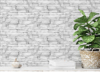 Potted green plant placed against a white limestone decorative pattern wallpaper.