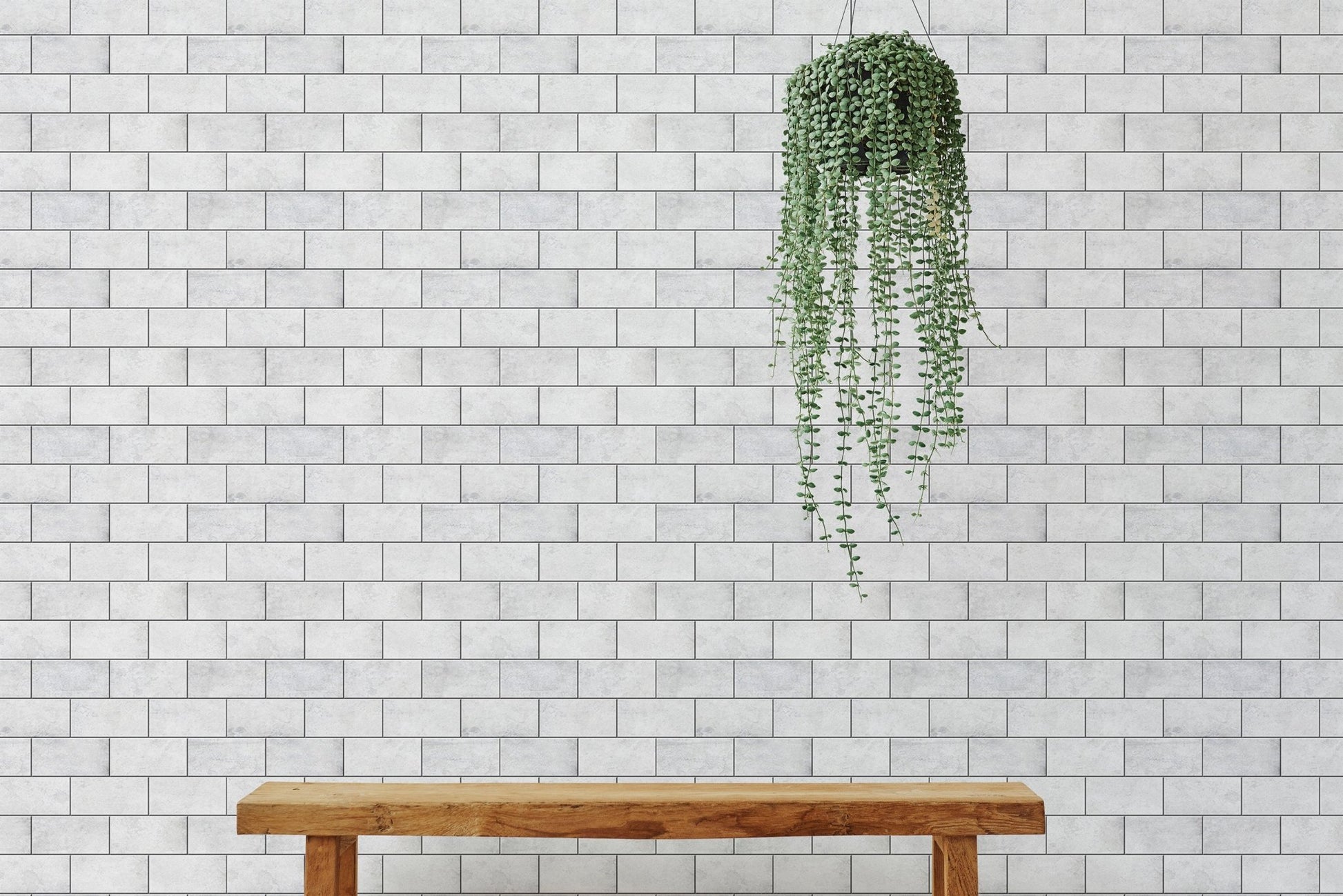 Hanging plant over a wooden bench with frost white brick wallpaper.