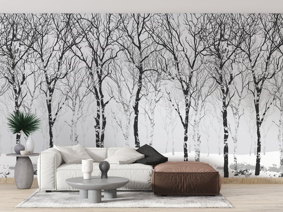 Winter Birch Trees Wall Murals behind a white sofa and brown ottoman.