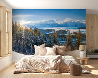 Winter Majesty Wall Mural - Wallanza
