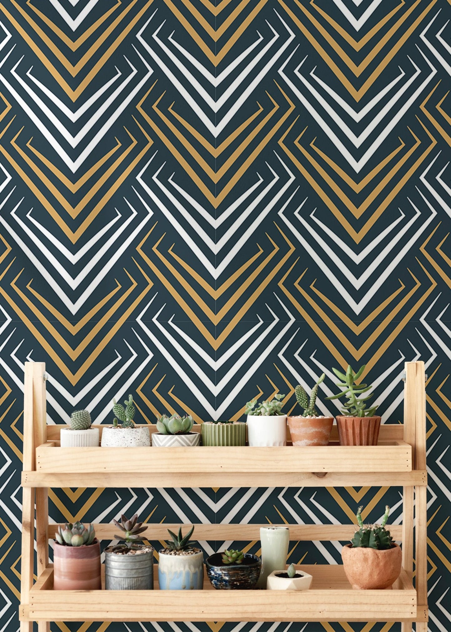 Geometric chevron wallpaper behind a wooden shelf holding multiple potted succulents.